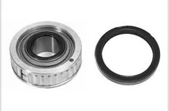BEARINGS