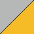 Catalyst Gray & Neo Yellow