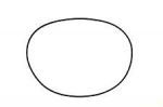 O-RING — 290831550 BRP / 420831550 BRP