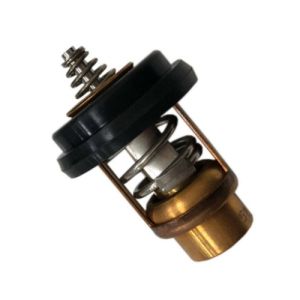 THERMOSTAT — RM804540